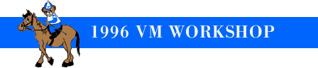 1996 VM WORKSHOP